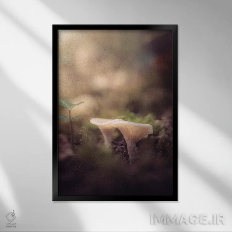 تابلو دکوراتیو قارچ های کوچک در زیرجنگل اثر جفرسون کاستلاری - نمای قابدار مشکی