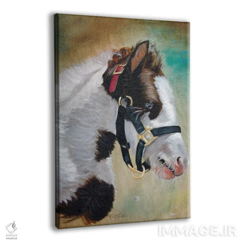 تابلو دکوراتیو کره اسب کولی اثر جنیفر رداستریک - نمای پرسپکتیو محصول