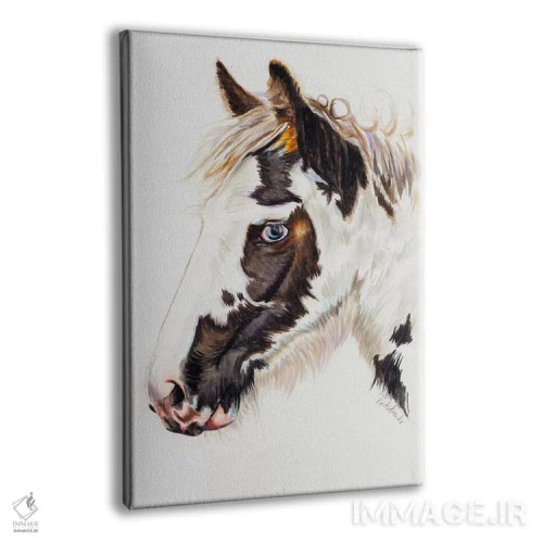 تابلو دکوراتیو کره مایه کولی اثر جنیفر رداستریک - نمای پرسپکتیو محصول