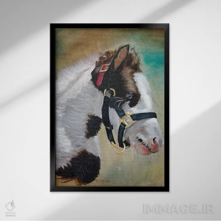 تابلو دکوراتیو کره اسب کولی اثر جنیفر رداستریک - نمای قابدار مشکی