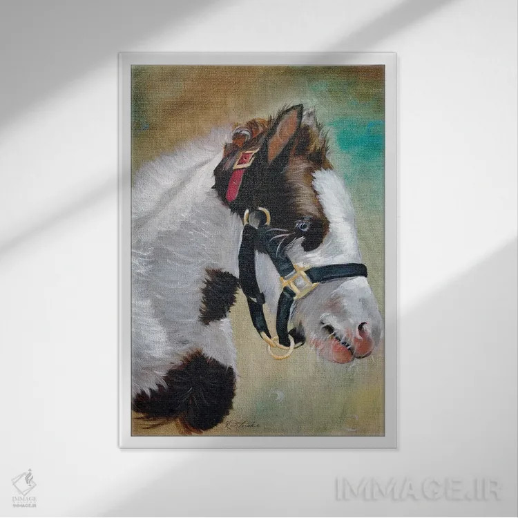 تابلو دکوراتیو کره اسب کولی اثر جنیفر رداستریک - نمای قابدار سفید