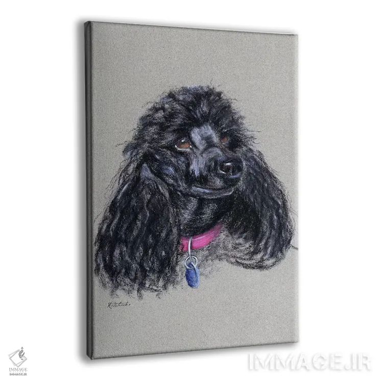 تابلو دکوراتیو پودل اثر جنیفر رداستریک - نمای پرسپکتیو محصول