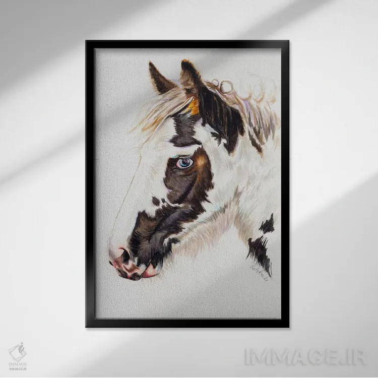 تابلو دکوراتیو کره مایه کولی اثر جنیفر رداستریک - نمای قابدار مشکی