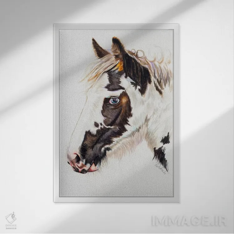 تابلو دکوراتیو کره مایه کولی اثر جنیفر رداستریک - نمای قابدار سفید