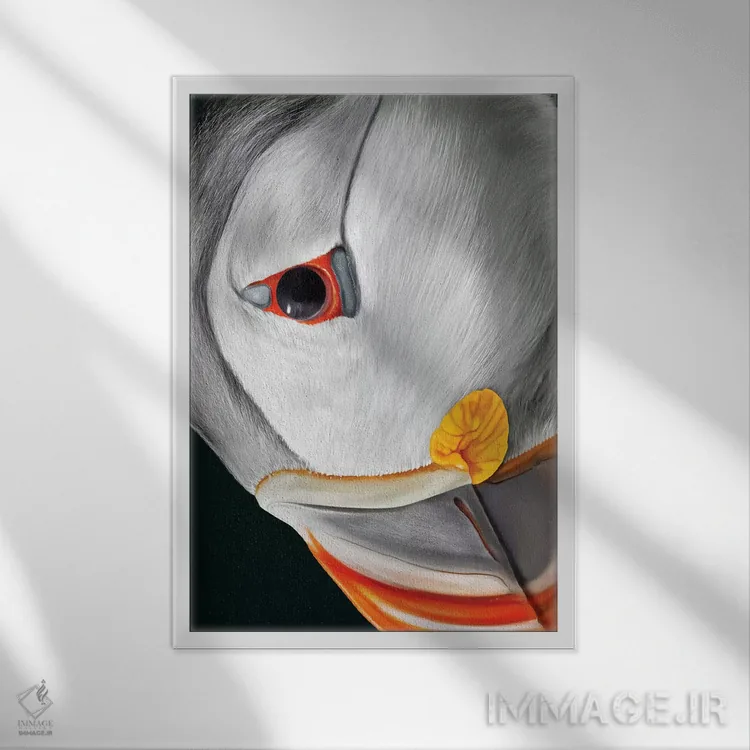 تابلو دکوراتیو پافین اطلس اثر جولیو روسی - نمای قابدار سفید