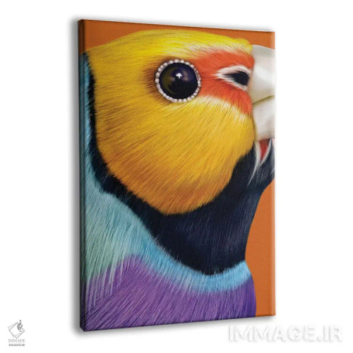 تابلو مدرن فنچ گولدیان اثر جولیو روسی - نمای پرسپکتیو محصول