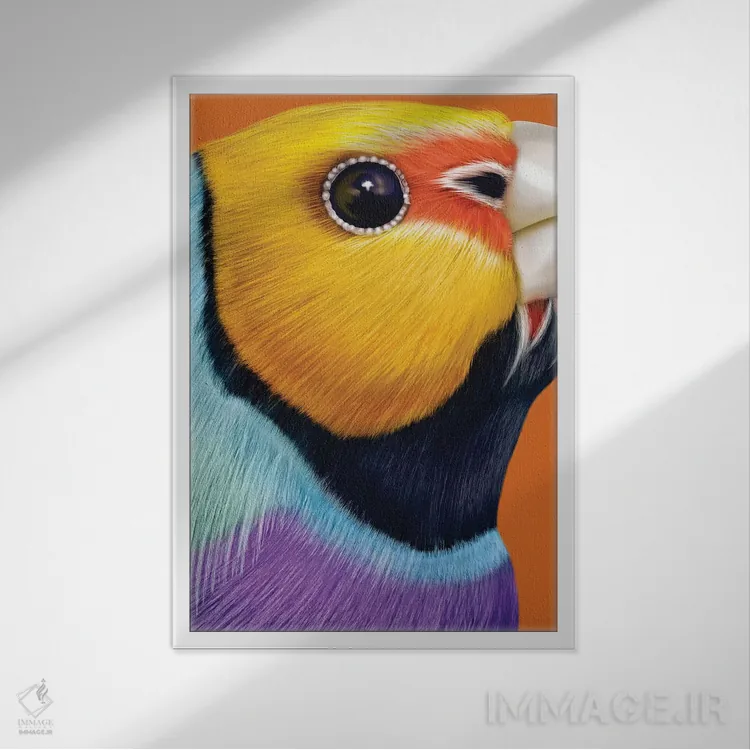 تابلو مدرن فنچ گولدیان اثر جولیو روسی - نمای قابدار سفید