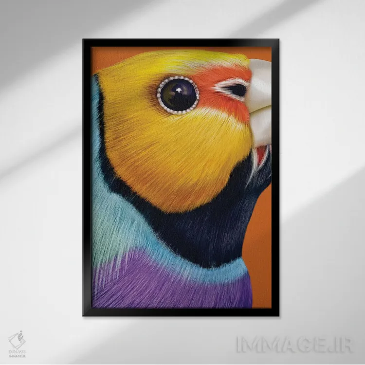 تابلو مدرن فنچ گولدیان اثر جولیو روسی - نمای قابدار مشکی