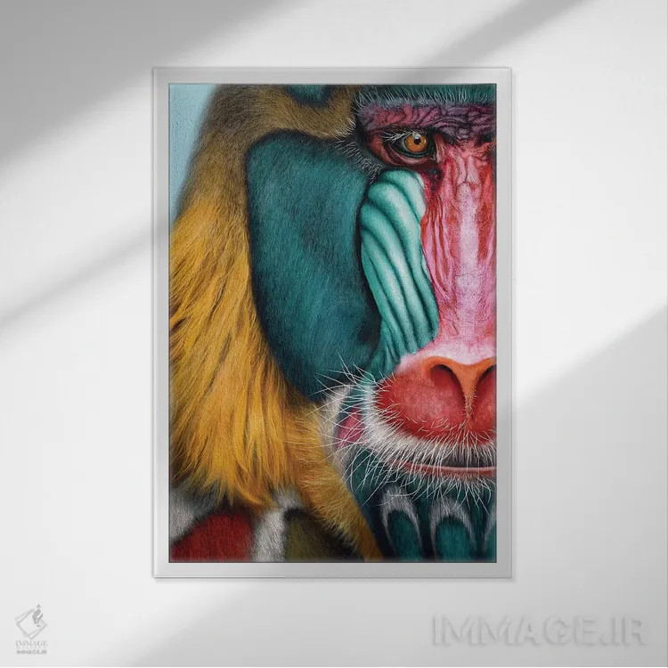 تابلو دکوراتیو ماندریل اثر جولیو روسی - نمای قابدار سفید