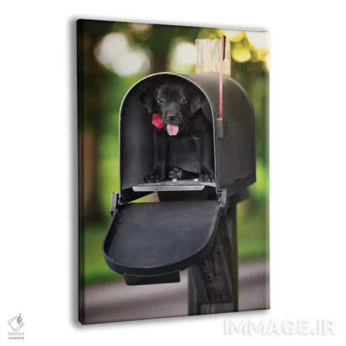 تابلو دکوراتیو تحویل ویژه توله سگ اثر عکاسی جاناتان راس - نمای پرسپکتیو محصول
