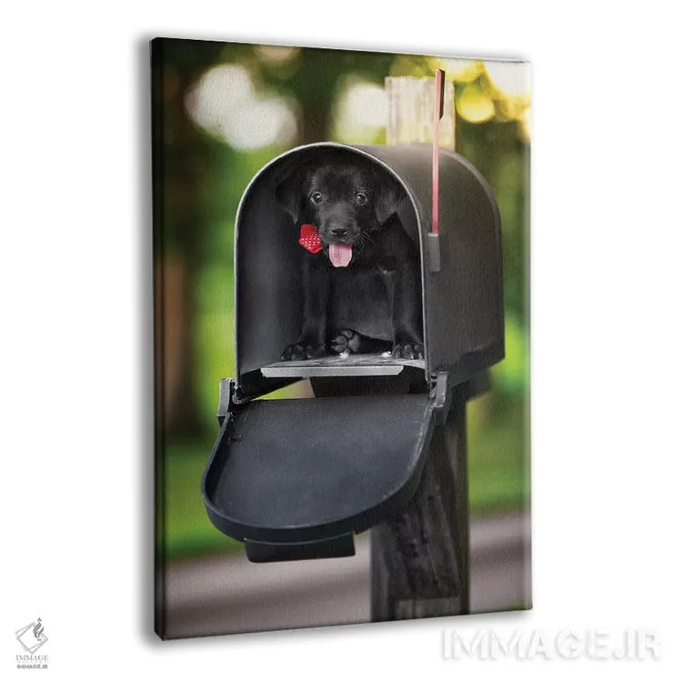 تابلو دکوراتیو تحویل ویژه توله سگ اثر عکاسی جاناتان راس - نمای پرسپکتیو محصول