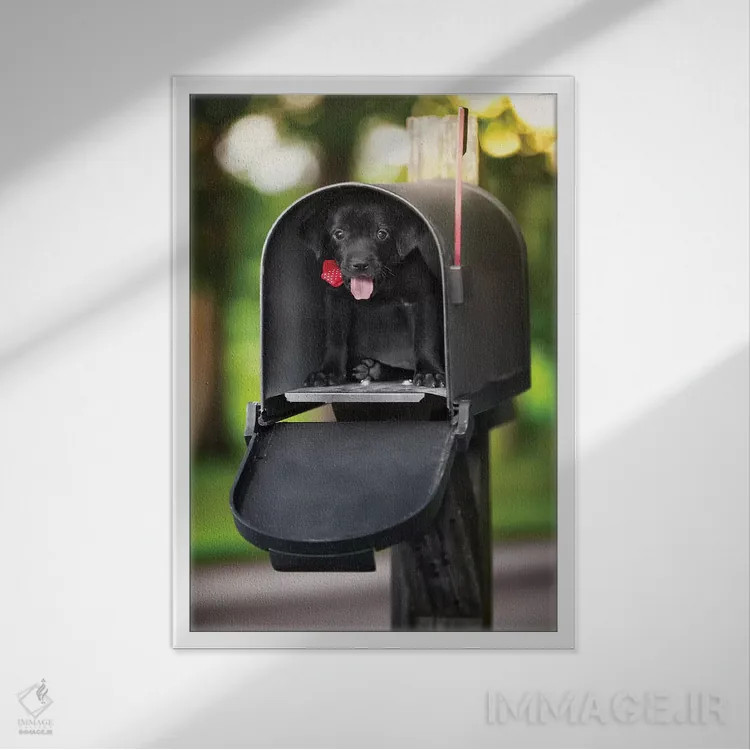 تابلو دکوراتیو تحویل ویژه توله سگ اثر عکاسی جاناتان راس - نمای قابدار سفید