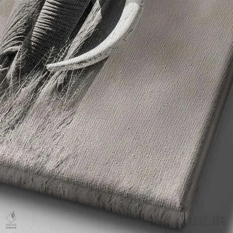 تابلو دکوراتیو فیل نر عظیم با عاج بزرگ از گرد و غبار پارک ملی امبوسلی بیرون م… اثر جین ریکس - نمای نزدیک بافت بوم