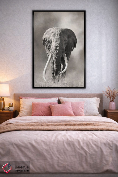 تابلو دکوراتیو فیل نر عظیم با عاج بزرگ از گرد و غبار پارک ملی امبوسلی بیرون م… اثر جین ریکس - D2B
