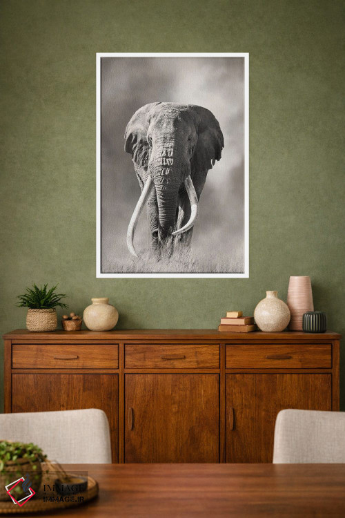 تابلو دکوراتیو فیل نر عظیم با عاج بزرگ از گرد و غبار پارک ملی امبوسلی بیرون م… اثر جین ریکس - D1W