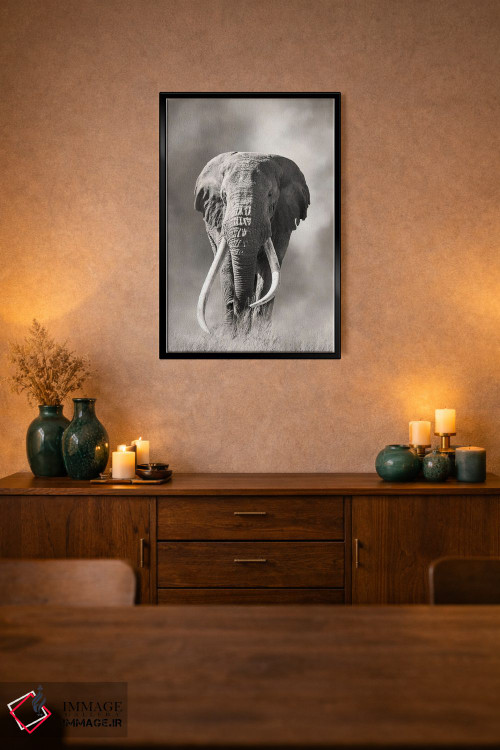 تابلو دکوراتیو فیل نر عظیم با عاج بزرگ از گرد و غبار پارک ملی امبوسلی بیرون م… اثر جین ریکس - D3B