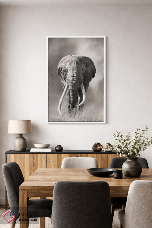 تابلو دکوراتیو فیل نر عظیم با عاج بزرگ از گرد و غبار پارک ملی امبوسلی بیرون م… اثر جین ریکس - D5W