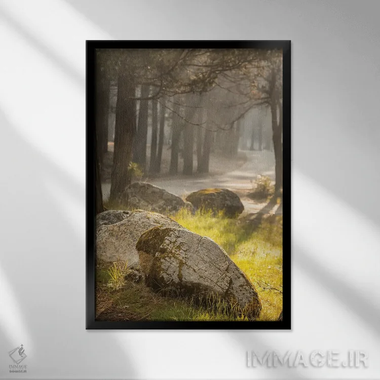تابلو دکوراتیو Yosemite, USA,صبح زود در جنگل مارپیوسا، یوسمیتی، آمریکا اثر جین ریکس - نمای قابدار مشکی