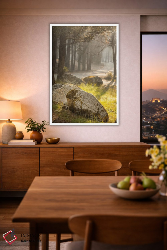 تابلو دکوراتیو Yosemite, USA,صبح زود در جنگل مارپیوسا، یوسمیتی، آمریکا اثر جین ریکس - D1W