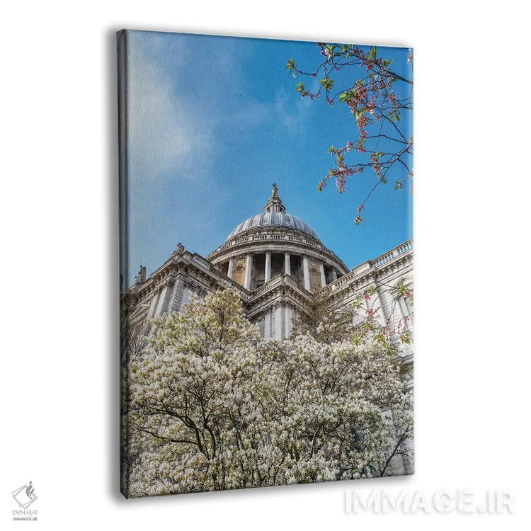 تابلو دکوراتیو London,کلیسای جامع سنت پل و شکوفه های گیلاس، لندن اثر جین ریکس - نمای پرسپکتیو محصول