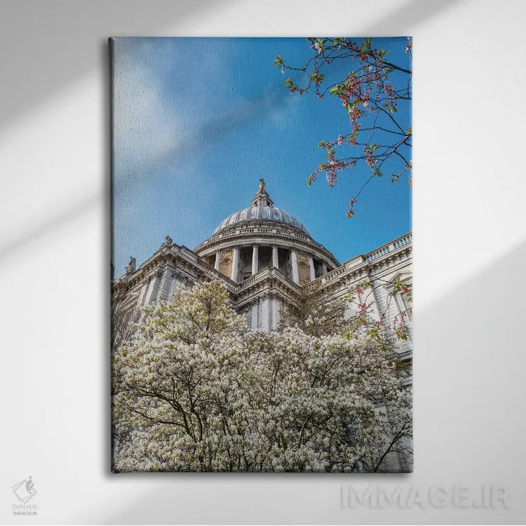 تابلو دکوراتیو London,کلیسای جامع سنت پل و شکوفه های گیلاس، لندن اثر جین ریکس - نمای روبهرو روی دیوار