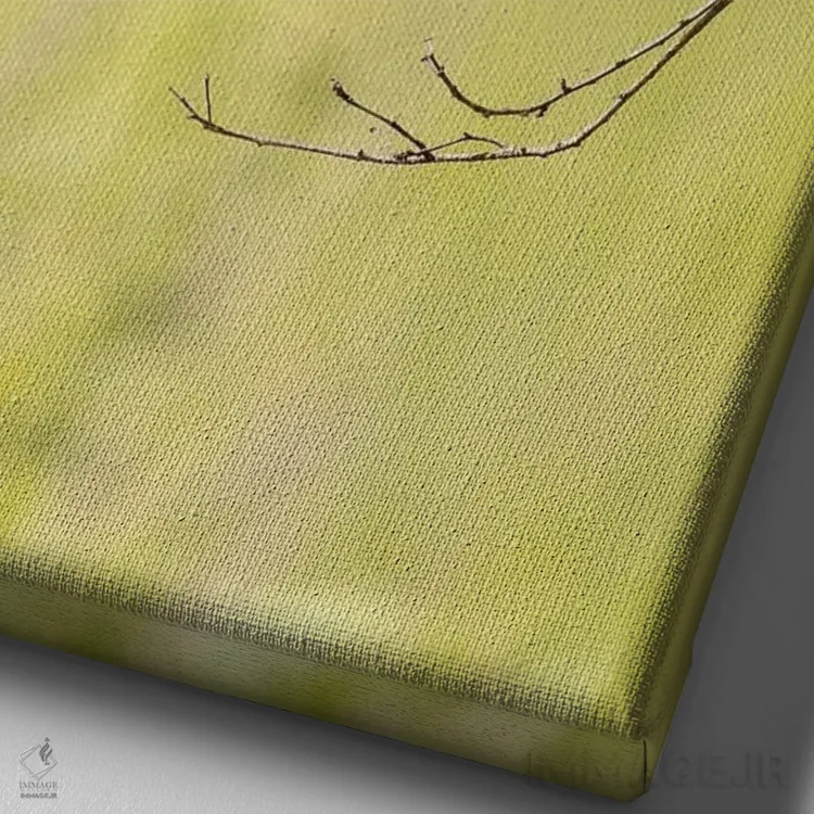 تابلو دکوراتیو مرغ ماهی خوار مالاکیت در اوگاندا اثر جین ریکس - نمای نزدیک بافت بوم