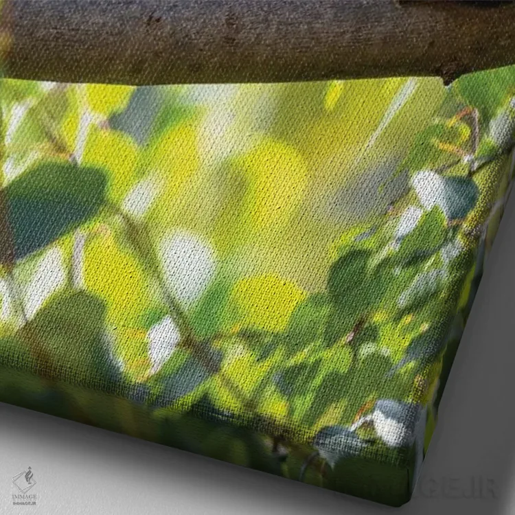 تابلو دکوراتیو پاندای قرمز در حال راه رفتن بر شاخه درخت اثر جین ریکس - نمای نزدیک بافت بوم