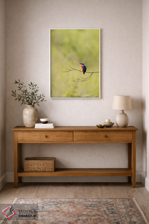 تابلو دکوراتیو مرغ ماهی خوار مالاکیت در اوگاندا اثر جین ریکس - D1W