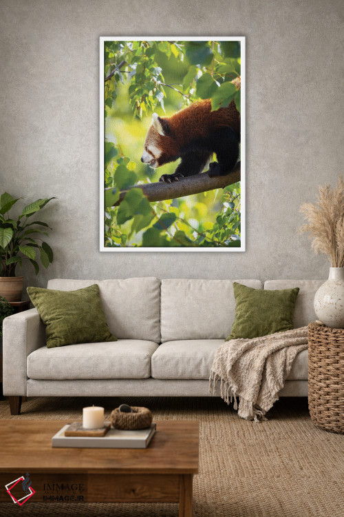 تابلو دکوراتیو پاندای قرمز در حال راه رفتن بر شاخه درخت اثر جین ریکس - D1W