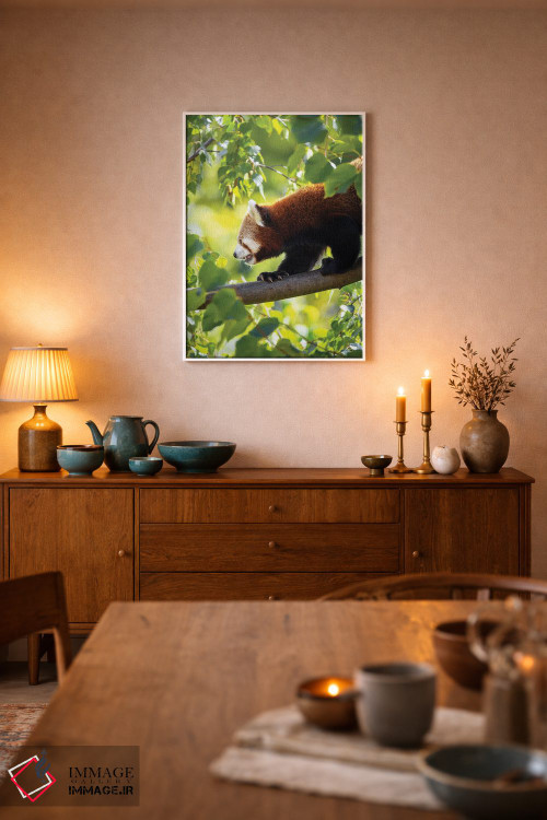 تابلو دکوراتیو پاندای قرمز در حال راه رفتن بر شاخه درخت اثر جین ریکس - D5W