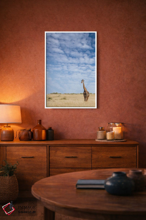 تابلو دکوراتیو Kenya,زرافه ایستاده در علفزارهای بلند ماسایی مارا، کنیا اثر جین ریکس - D4W