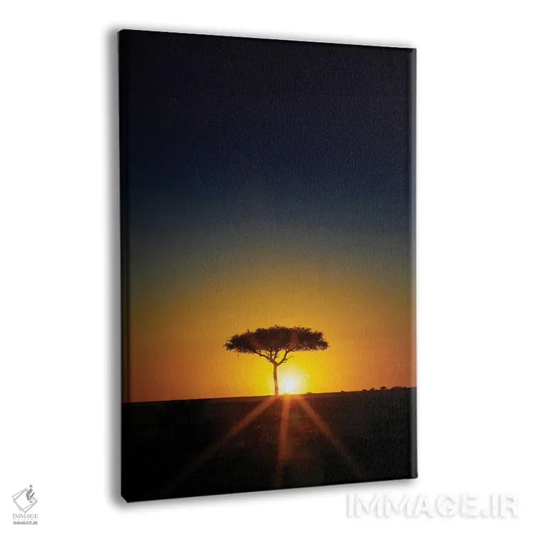 تابلو دکوراتیو Masai Mara,درخت آکاسیا در افق هنگام غروب، ماسایی مارا اثر جین ریکس - نمای پرسپکتیو محصول