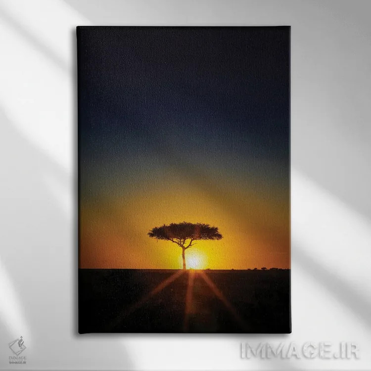 تابلو دکوراتیو Masai Mara,درخت آکاسیا در افق هنگام غروب، ماسایی مارا اثر جین ریکس - نمای روبهرو روی دیوار
