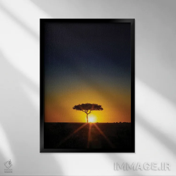 تابلو دکوراتیو Masai Mara,درخت آکاسیا در افق هنگام غروب، ماسایی مارا اثر جین ریکس - نمای قابدار مشکی