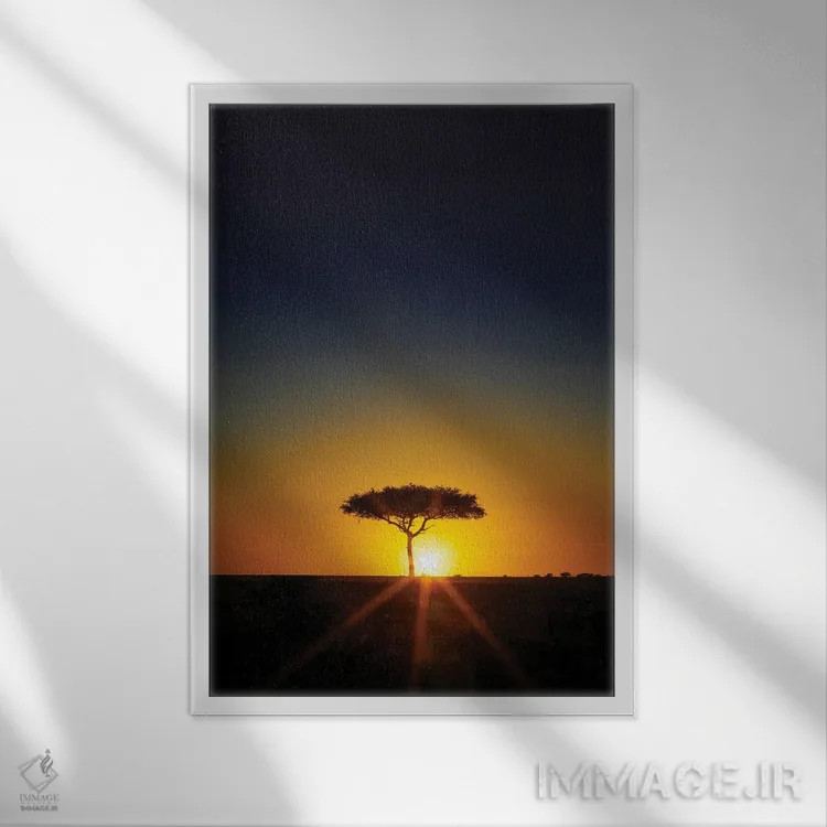 تابلو دکوراتیو Masai Mara,درخت آکاسیا در افق هنگام غروب، ماسایی مارا اثر جین ریکس - نمای قابدار سفید