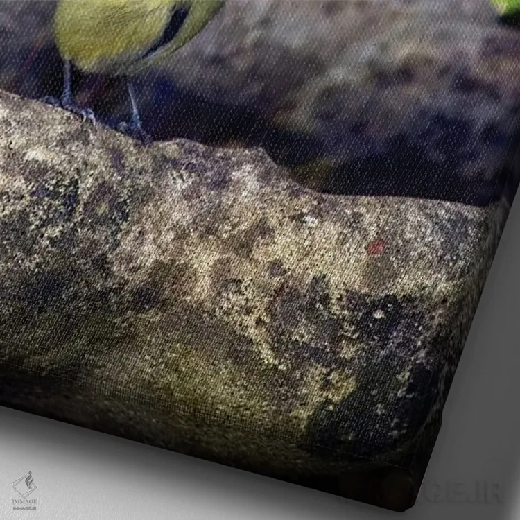 تابلو دکوراتیو پرنده سیاه سرآبی لبه ظرف آب اثر جین ریکس - نمای نزدیک بافت بوم