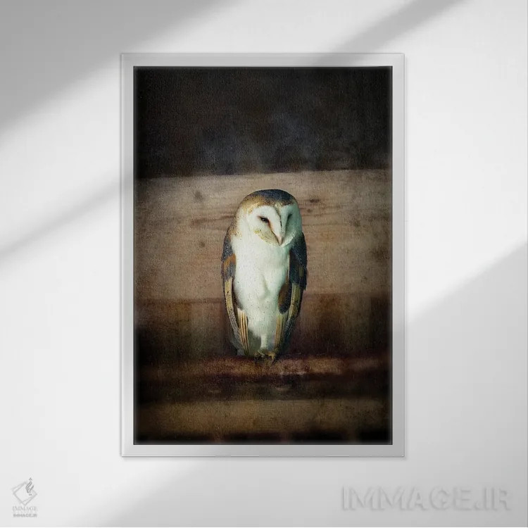 تابلو دکوراتیو Vintage Style,جغد انبار اثر جین ریکس - نمای قابدار سفید