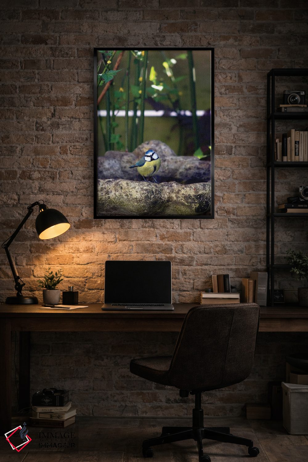 تابلو دکوراتیو پرنده سیاه سرآبی لبه ظرف آب اثر جین ریکس - D5B