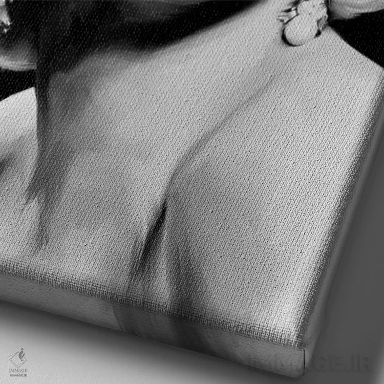 تابلو دکوراتیو B&W,گرد و غبار ستاره ای اثر جری مایکلز - نمای نزدیک بافت بوم