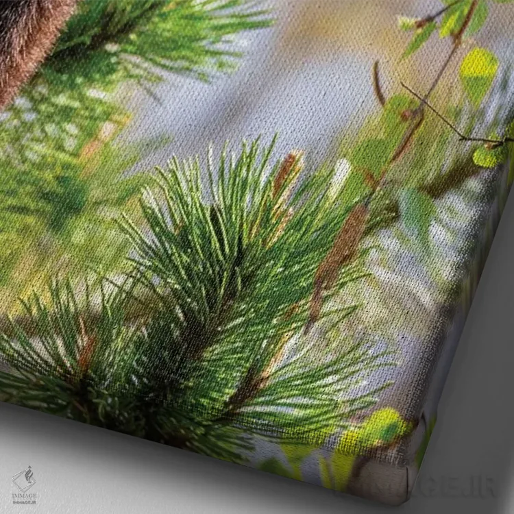 تابلو دکوراتیو پاندای قرمز خوابیده روی درخت اثر جین ریکس - نمای نزدیک بافت بوم