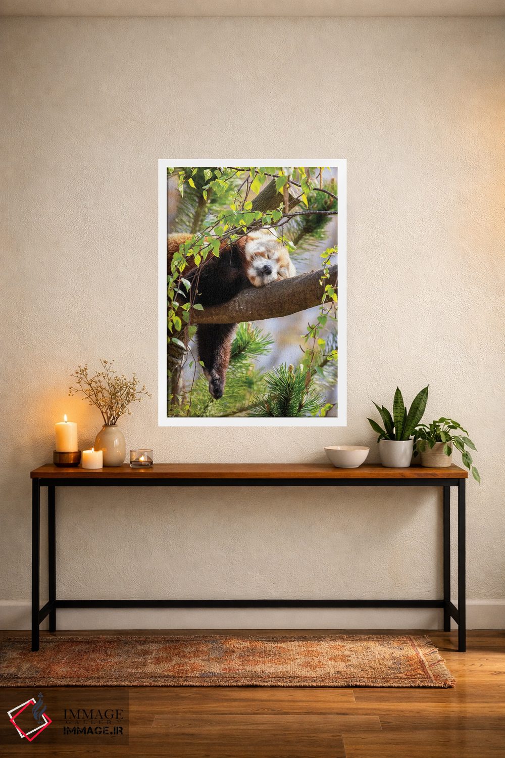 تابلو دکوراتیو پاندای قرمز خوابیده روی درخت اثر جین ریکس - D3W