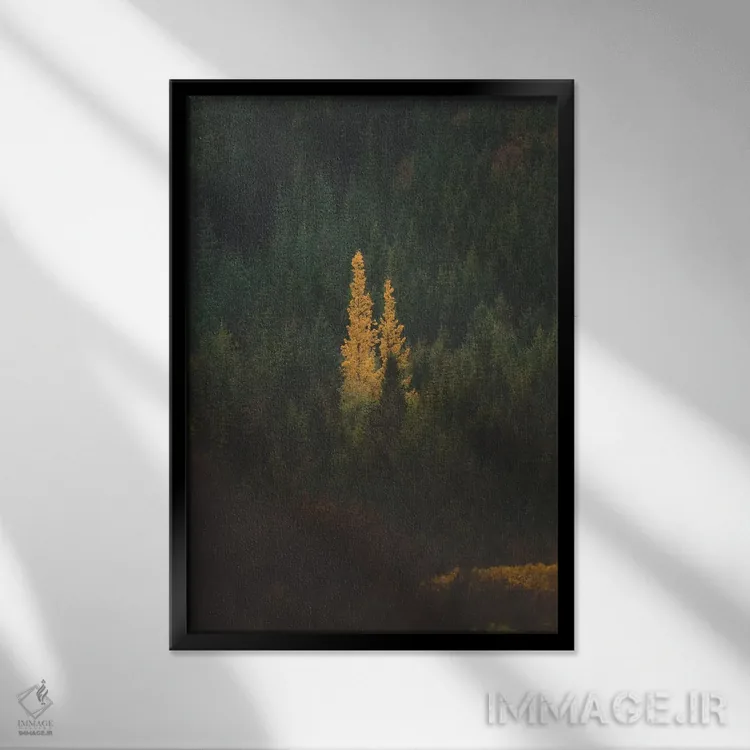 تابلو دکوراتیو نخستین نشانه های پاییز ۲ اثر جو شاتر - نمای قابدار مشکی