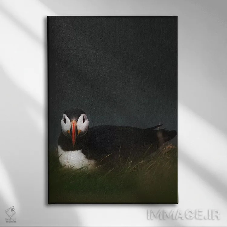 تابلو دکوراتیو بی قراری اثر جو شاتر - نمای روبهرو روی دیوار