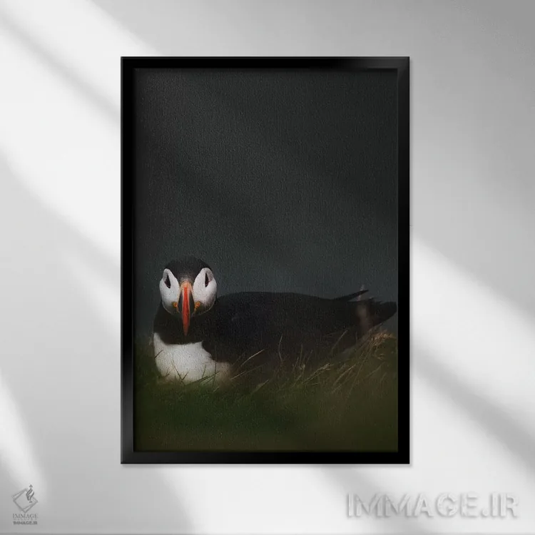 تابلو دکوراتیو بی قراری اثر جو شاتر - نمای قابدار مشکی