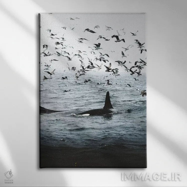 تابلو دکوراتیو همزیستی اثر جو شاتر - نمای روبهرو روی دیوار