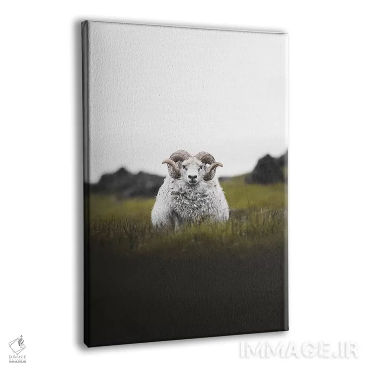 تابلو دکوراتیو خیره نگاه کردن اثر جو شاتر - نمای پرسپکتیو محصول