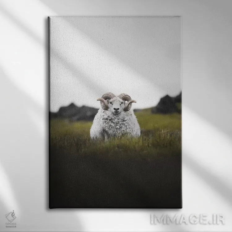 تابلو دکوراتیو خیره نگاه کردن اثر جو شاتر - نمای روبهرو روی دیوار