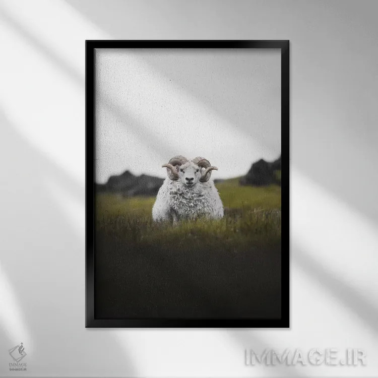 تابلو دکوراتیو خیره نگاه کردن اثر جو شاتر - نمای قابدار مشکی