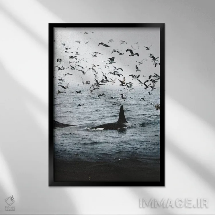 تابلو دکوراتیو همزیستی اثر جو شاتر - نمای قابدار مشکی