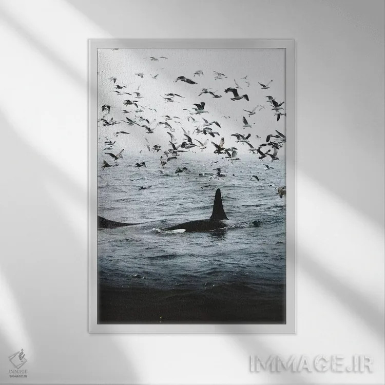 تابلو دکوراتیو همزیستی اثر جو شاتر - نمای قابدار سفید